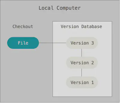 Local version control
